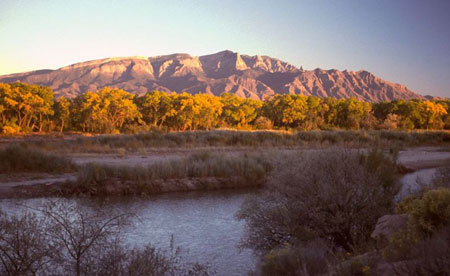 Lou Tulga’s REAL ESTATE SCHOOL ONLINE